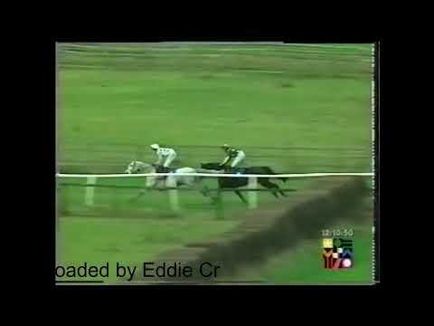 1997 John Hellens Novice Chase Sedgefield