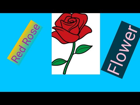 Flowers.Red rose.Symbol of beauty.@Learn English with Fahmida