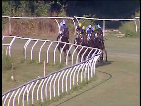 Galoppo 15/06/2018 - 3ª corsa