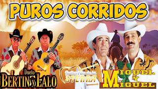 MIGUEL Y MIGUEL, BERTIN Y LALO, GUITARRAS DE LA SIERRA 🎸LAS MEJORES CANCIONES PARA LA FIESTA