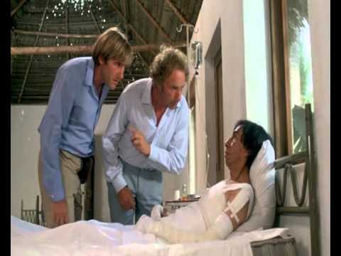 Der Hornochse und sein Zugpferd1