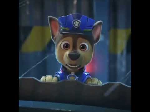 Chase sad edit !!🐕😨🚔 #patpatrouille