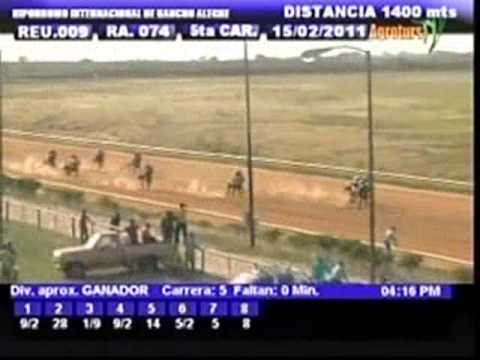 Resumen 15 de febrero 2011 - Rancho Alegre