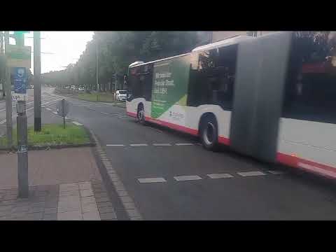 SB40 nach Walsum Overbruch #duisburg (#dvgduisburgmercedescitaroc2gelenk)