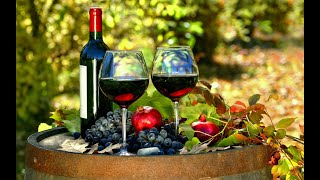 כיווץ קפסולות PVC על הבקבוקים עם פן מייבש שיער - טיפ יפה וקל מאת בני קייקוב