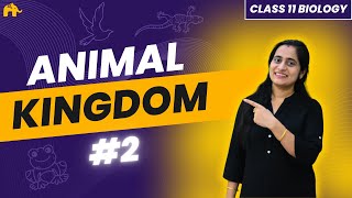 Animal Kingdom Class 11 Biology NCERT Chapter 4 #2|   CBSE NEET  | Chordata Sub- classification