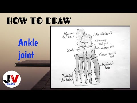 how to draw foot and ankle bone anatomy drawing|ankle joint diagram|ankle joint anatomy