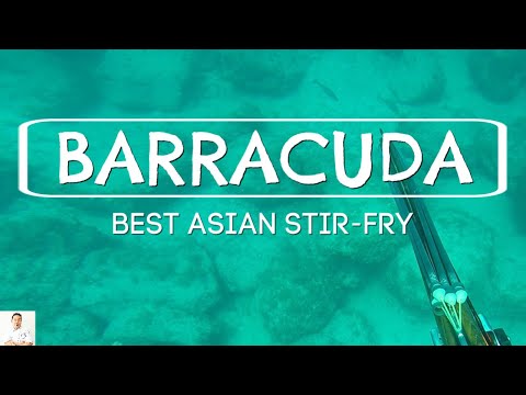 Most Delicious Barracuda Dish | Asian Inspired Stir Fry