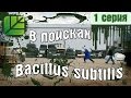 Сериал "В поисках Bacillus subtilis". 1 серия. "Иностранный ученый" │ Башинком Сериал "В поисках Bacillus subtilis". 1 серия. "Иностранный ученый" │ Башинком