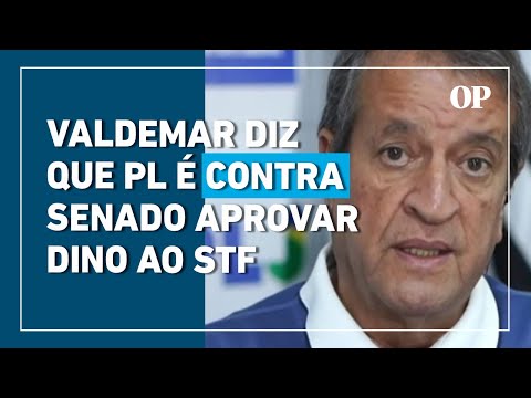 Dino para vaga no STF: Valdemar diz que PL é contra Senado aprovar indicação