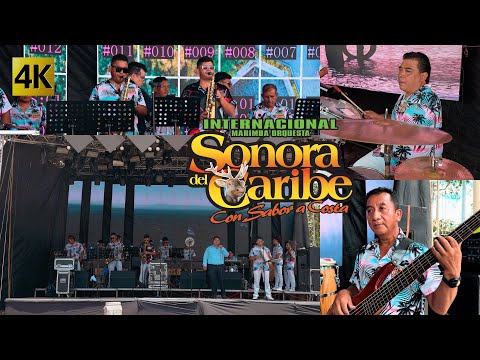 Marimba Orquesta Sonora Del Caribe - Concierto De Sones 4K
