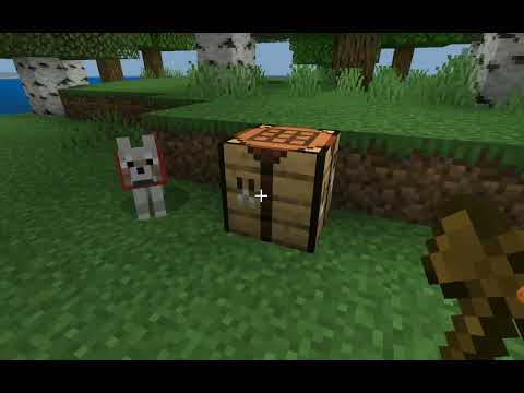 il mio nuovo mondo nella vanilla hardcore