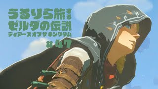 #47 どういうわけか、乗り越えなければならない障壁が多すぎる【ゼルダの伝説 ティアーズ オブ ザ キングダム Switch2エディション】