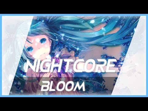 Convex Remix | Bloom - Kaizen & Shinigami (Feat. Kass)【Nightcore】