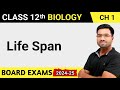 What Is Life Span Life Span Class 12 Life Span List List Of Life Span UNIVERSAL BIOLOGY UB