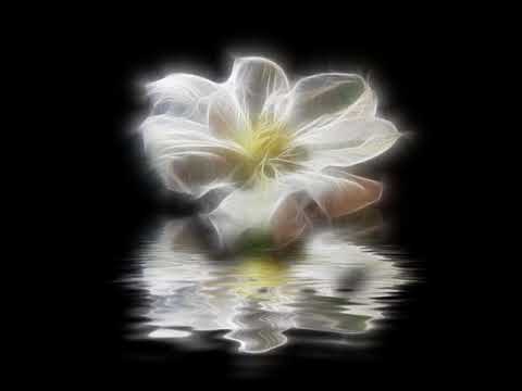 Ennio Morricone - For Love One Can Die (Evgeny Pacuk Remix)