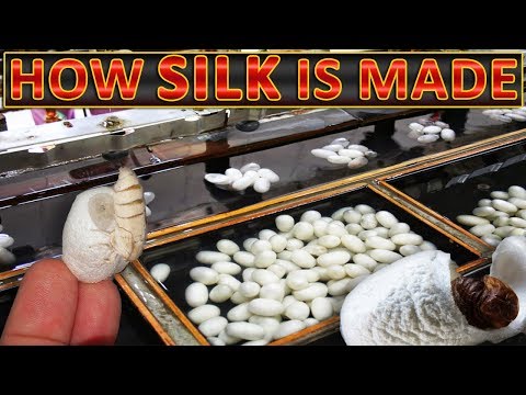 How silk fabrics is made