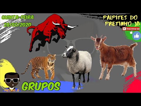 PALPITES JOGO DO BICHO 28/05/2020 PRETINHO JB
