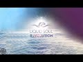 Liquid Soul & Zyce - Anjuna