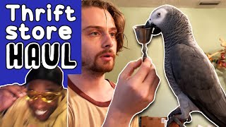 Thrifting Stuff to Test My Parrot