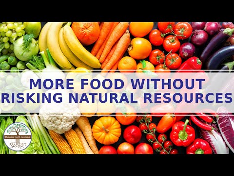 More Food Without Risking Natural Resources | Lesson Plan