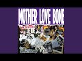 Mother Love Bone, Stardog Champion 