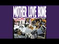Mother Love Bone, Stardog Champion 