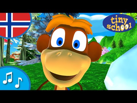 Vi danser rundt i ringen - Sang for barn - Tinyschool Norsk
