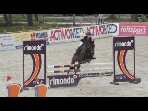 LINNEA und MISSOURI - A-Springen mit steigenden Anforderungen