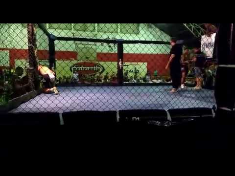 Jenilton Pitbullzinho vs Tratorzinho