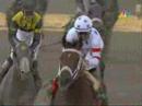 2008 Preakness Stakes - Big Brown