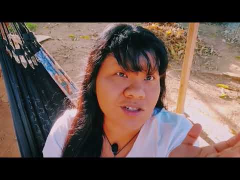 Os Índios daqui usam Canabis?