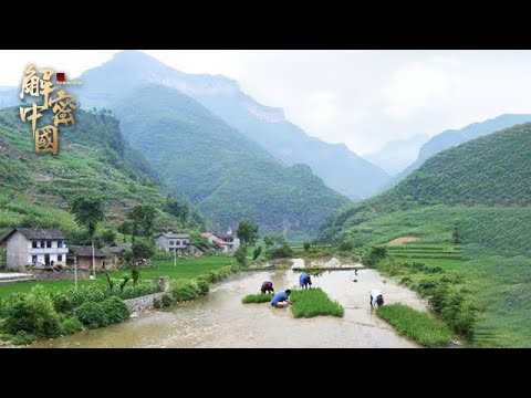 , title : '大瑶山深处，有人一辈子没出过大山，200多贫困户吃野菜捞河鱼，靠种草药养活家人【边城纪录】'