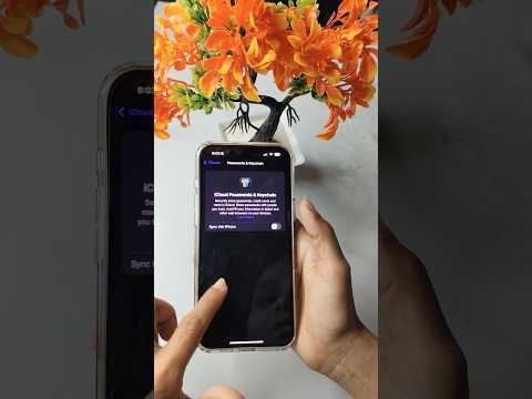 ¿Cómo verificar la seguridad de la contraseña de iCloud Keychain?