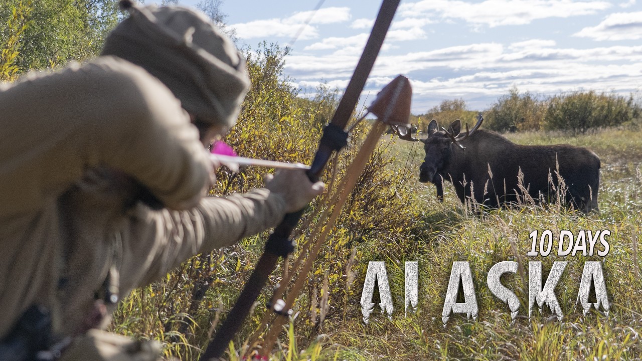 10 Days Camping and Traditional Bow Hunting Moose in ALASKA