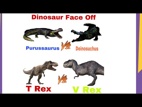 T Rex vs V Rex and Purussaurus vs Deinosuchus