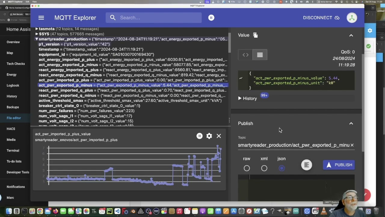 Meng Smartmeter Daen mat MQTT an den HomeAssistant aliesen