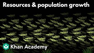 Resources and population growth | Middle school Biology | Khan Academy