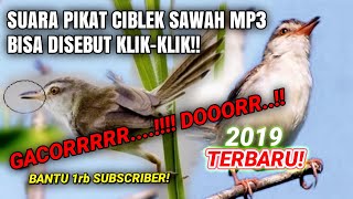 Download lagu SUARA PIKAT BURUNG KLIK KLIK MP3 TERBARU 2019 PRENJAK SAWAH, PRENJAK ALANG-ALANG GACORRR..!! mp3