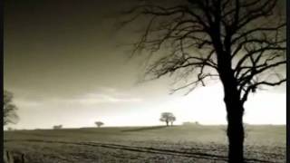 Horn (Nick Drake Cover)