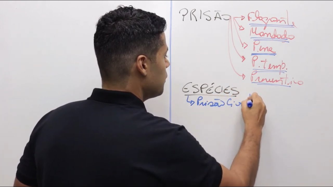 Processo Penal - prisões e medidas cautelares