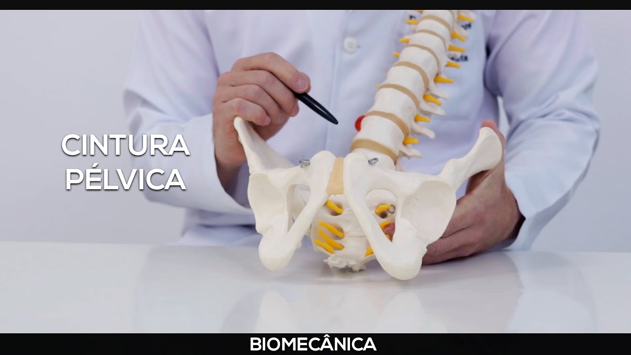 Cintura pélvica