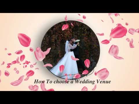 Wedding Party Planner Guide