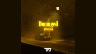 PVLN - Damaged (Official Audio)