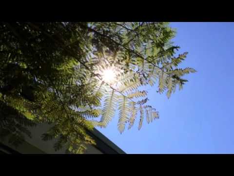 10A Pile Street, Gladesville