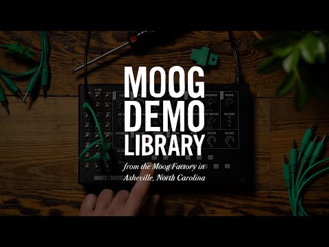 Moog Mavis | How to Use the Sample & Hold
