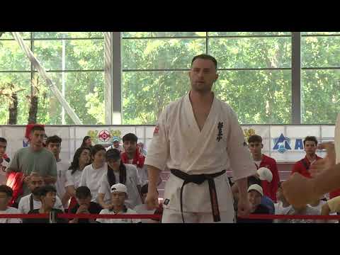 Vojtech Krejar Czech Republic KWU vs  Ion Britchi Moldova WKO