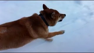 Cover art for Running in the 90s