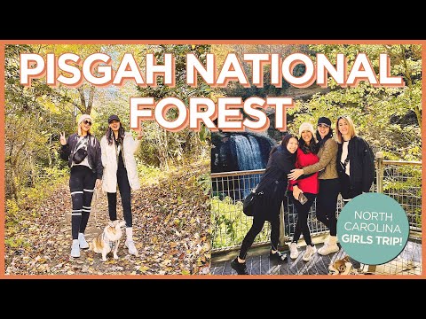 皮斯加國家森林公園秋葉期間的 2 天輕鬆徒步旅行 (2 Days in Pisgah National Forest During the Fall Foliage with Easy Hikes)