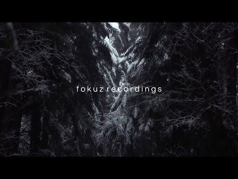 Liquid Drum and Bass Mix 195 - Guest Mix: Fokuz Recordings